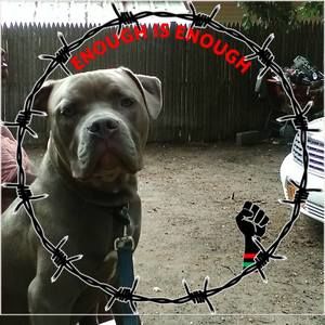 Meet your Posher, Clara